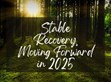 稳健复苏，2025向前行                                                                                                                                          
